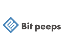 株式会社Bit peeps