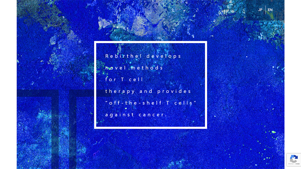 HeCNOS AWARD Winners Featured at Expo 2025: Healthcare Startups to Watch (Part 1)