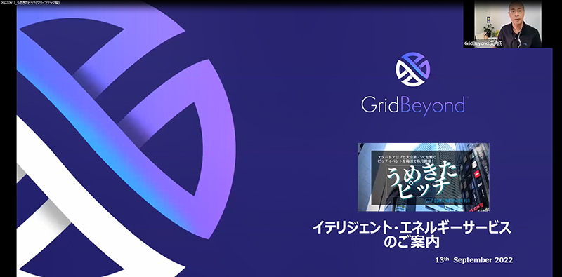 GridBeyond