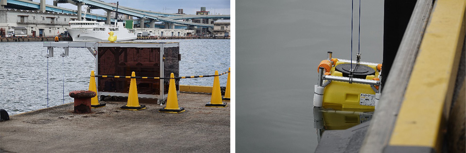 Yellow Duck 株式会社