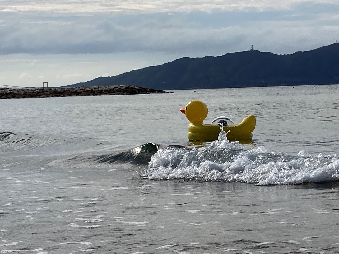 Yellow Duck Inc.