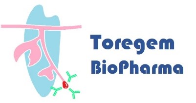 logo-toregem
