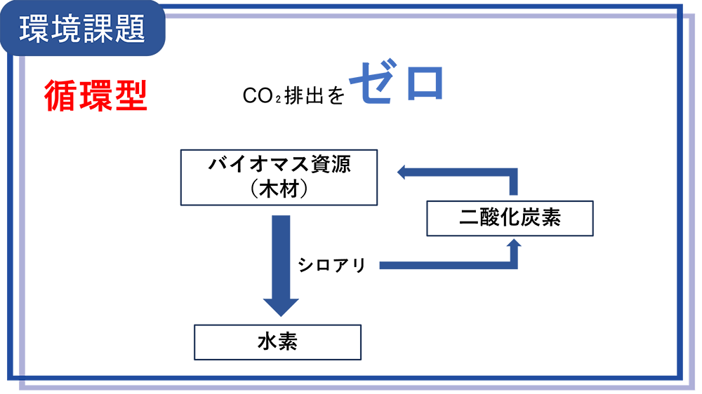 神戸大学 髙橋さん