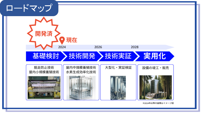 神戸大学 髙橋さん